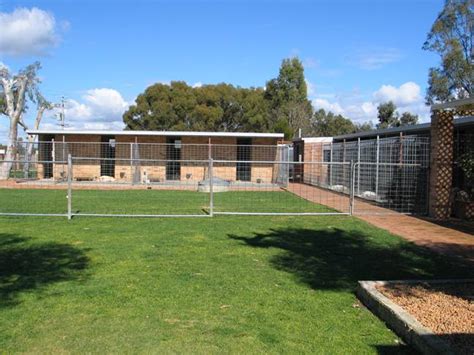 blackboy kennels perth.